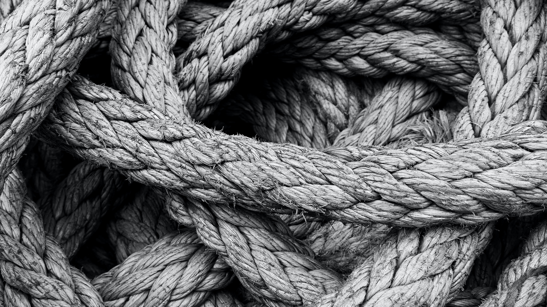 Close up of rope